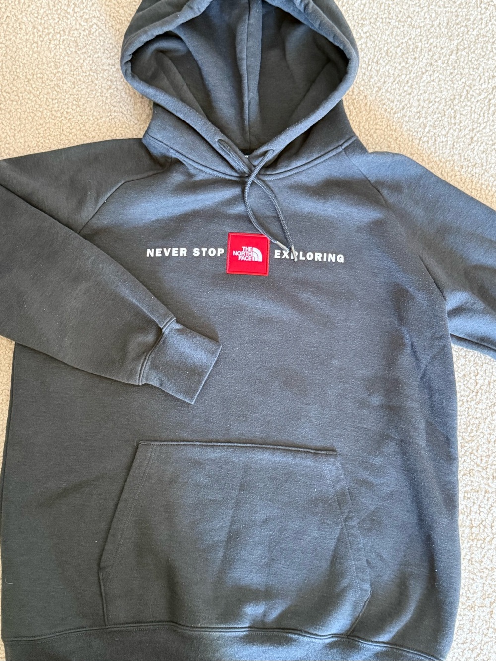 The North Face hoodie • womens • large